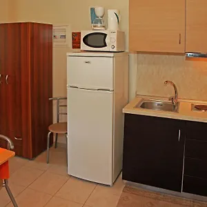 https://dionysus-apartments.hotelschalkidiki.net